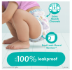 Pampers Easy Ups Training Underwear Girls, Size 7 5T-6T, 80 Count