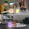 Wireless Night Light Bluetooth Speaker Color Changing Touch Control Desk Lamp